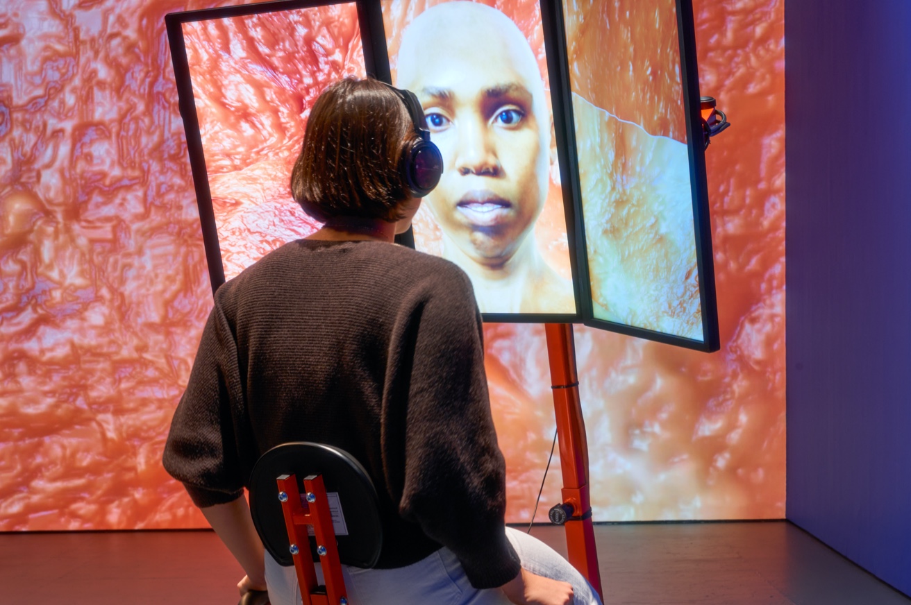 Sondra Perry, Graft and Ash for a Three Monitor Workstation, 2016. Courtesy the artist, The Kitchen, NYC and Bridget Donahue, NYC. Photo by Jason Mandella.