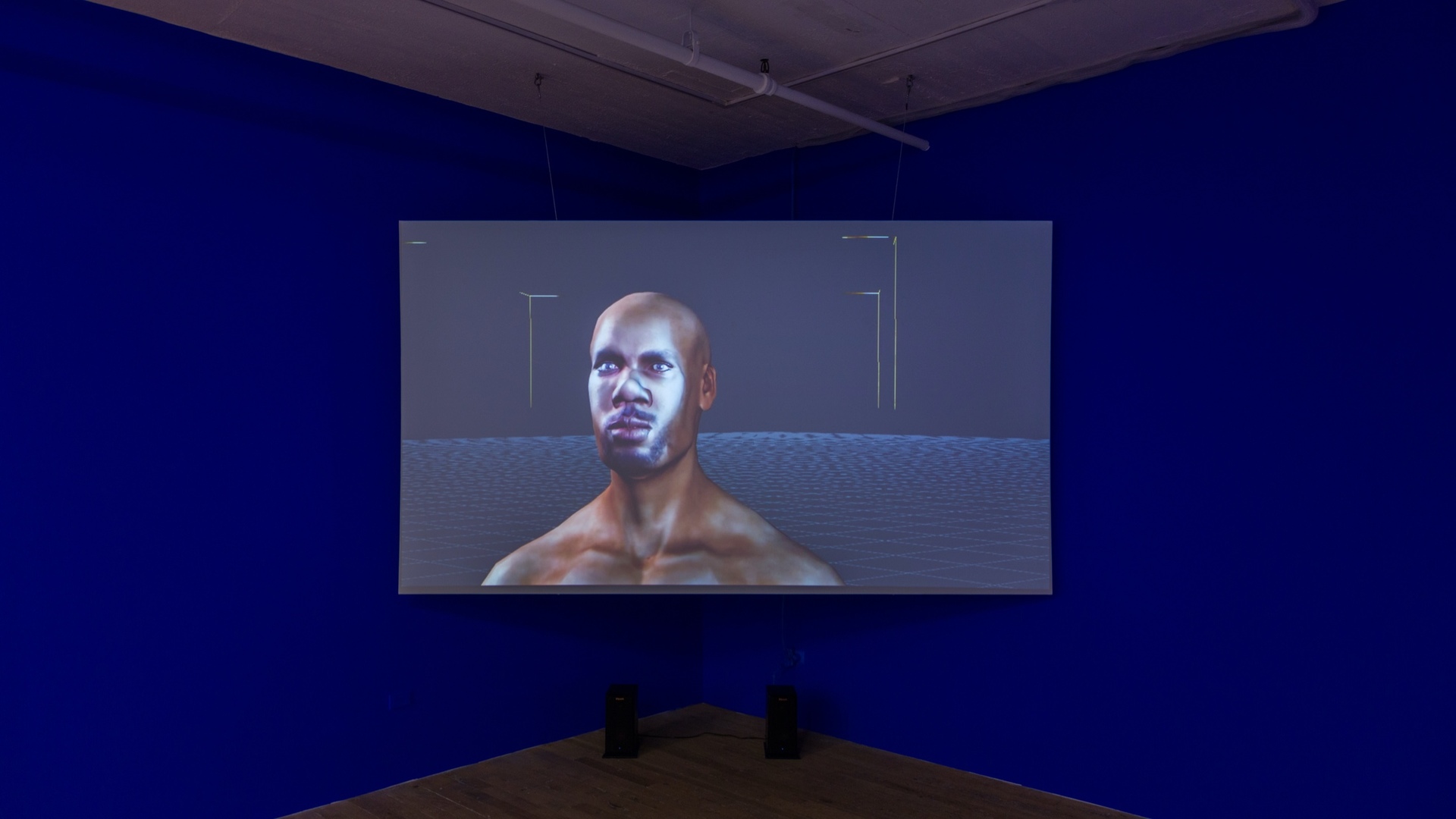 Sondra Perry, Lineage for a Phantom Zone, 2020, Courtesy the artist and Muse, The Rolls-Royce Art Programme.