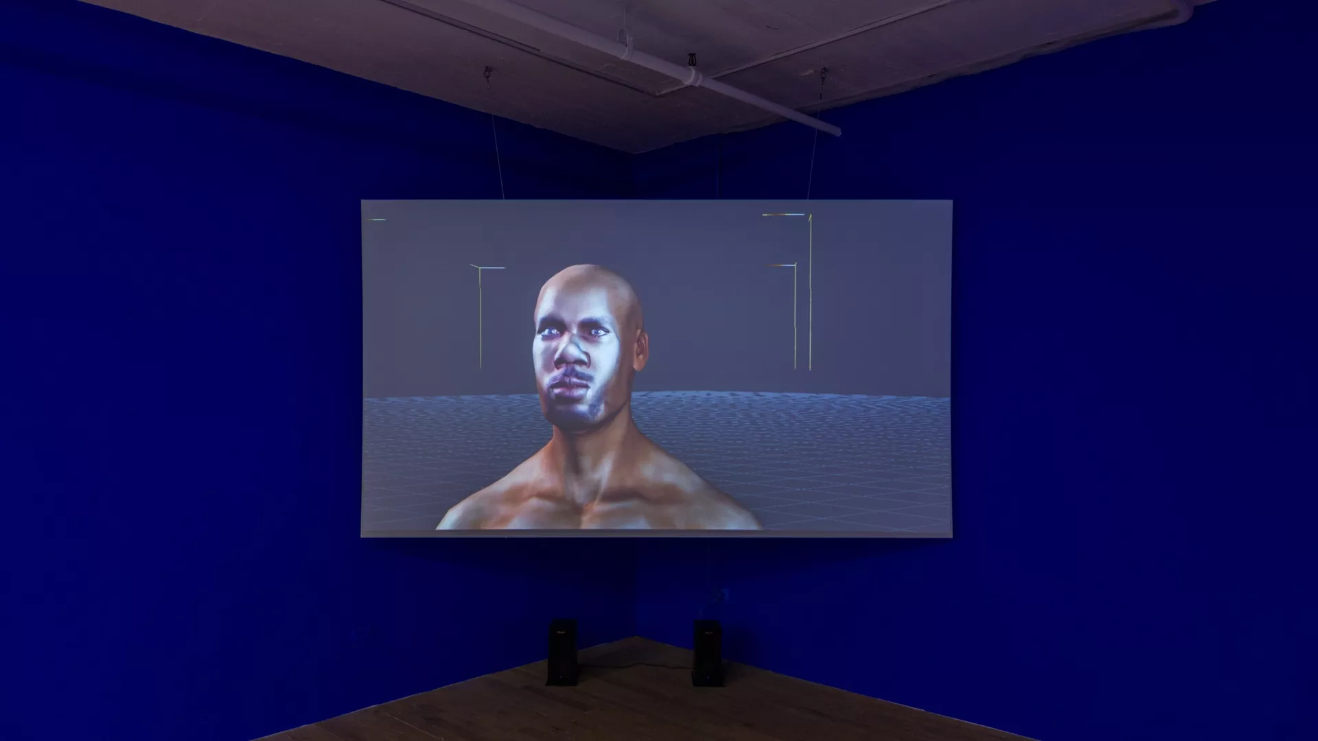 Sondra Perry, Lineage for a Phantom Zone, 2020, Courtesy the artist and Muse, The Rolls-Royce Art Programme.