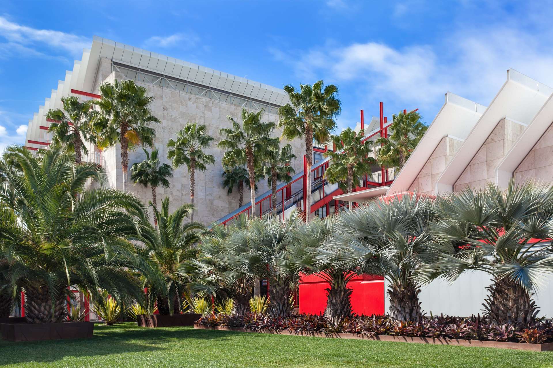 Image of sunny outdoor space with palm trees and green lawn, with modern buildings in background