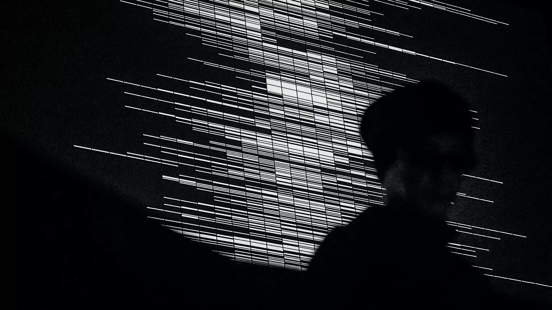 Person's silhouette in front of artwork by Japanese visual artist Ryoji Ikeda
