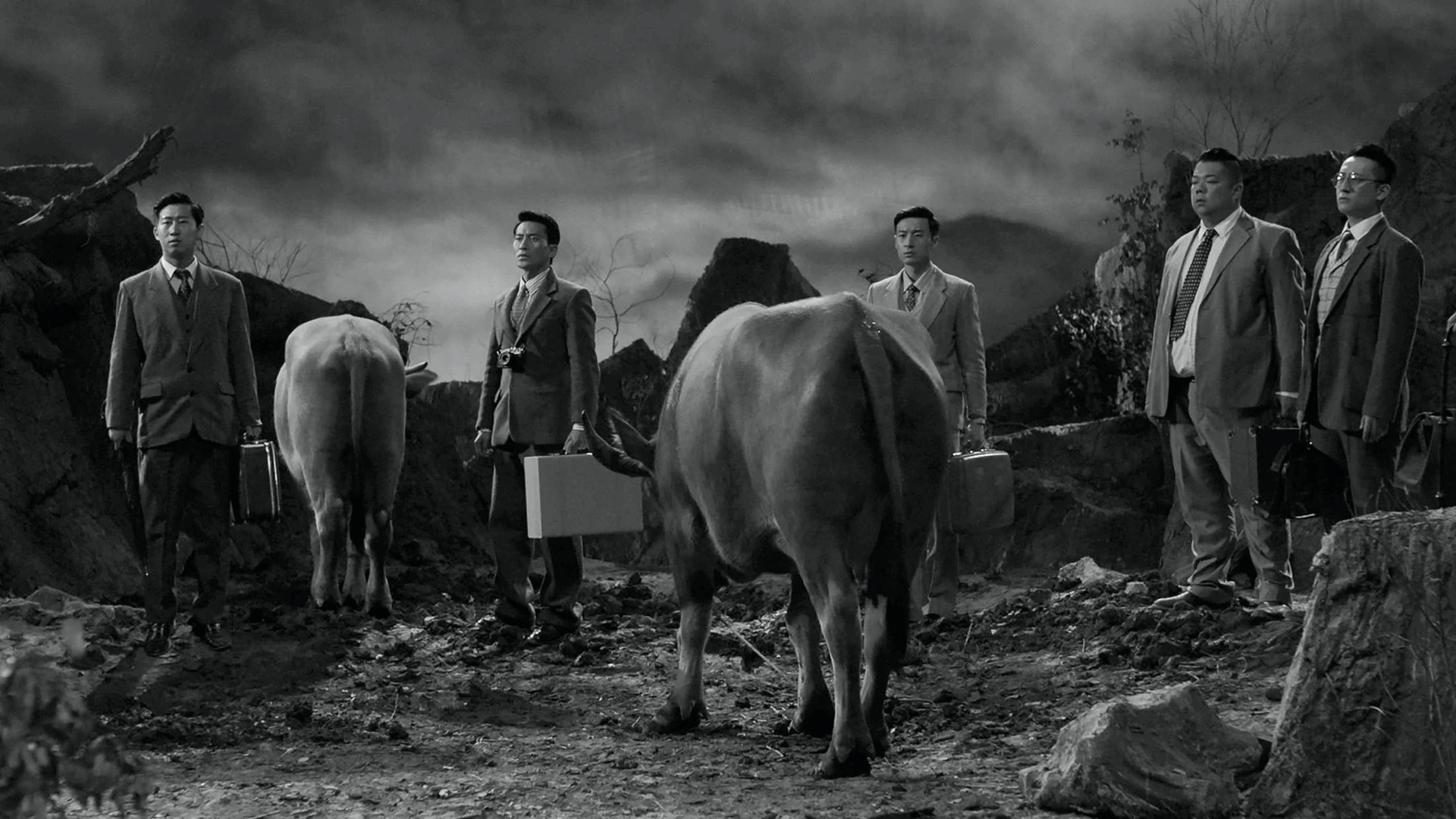 A still from 'Moving Mountains' - Depicting a black and white scene of men in business suites surrounded by cows in a mountainous setting