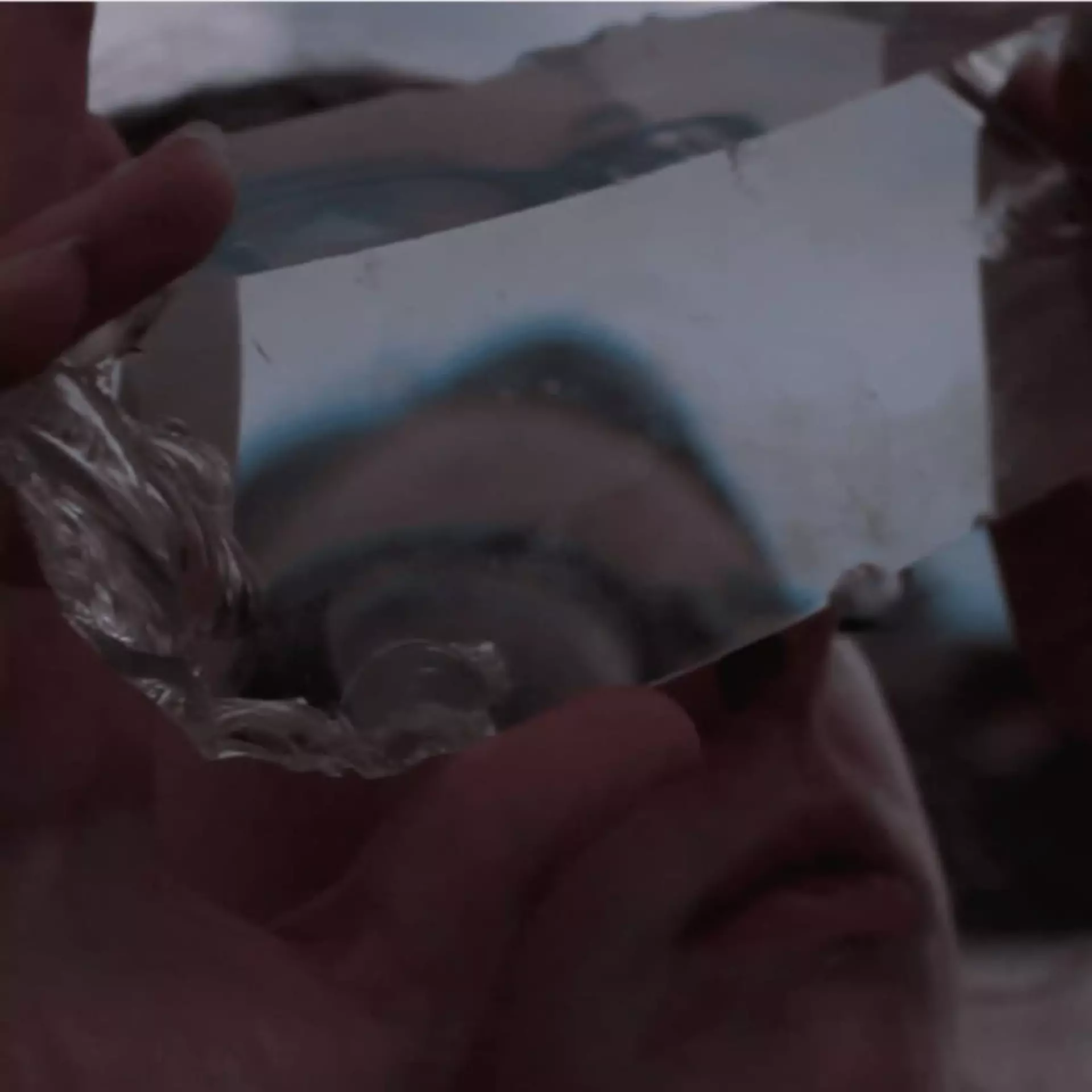 Artist and filmmaker, Beatriz Santiago Munoz develops perspective in the world around us, through close observation of the natural environment. 