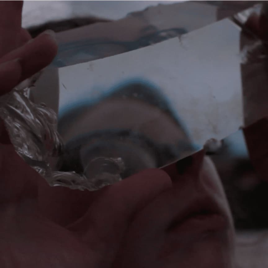 Artist and filmmaker, Beatriz Santiago Munoz develops perspective in the world around us, through close observation of the natural environment. 