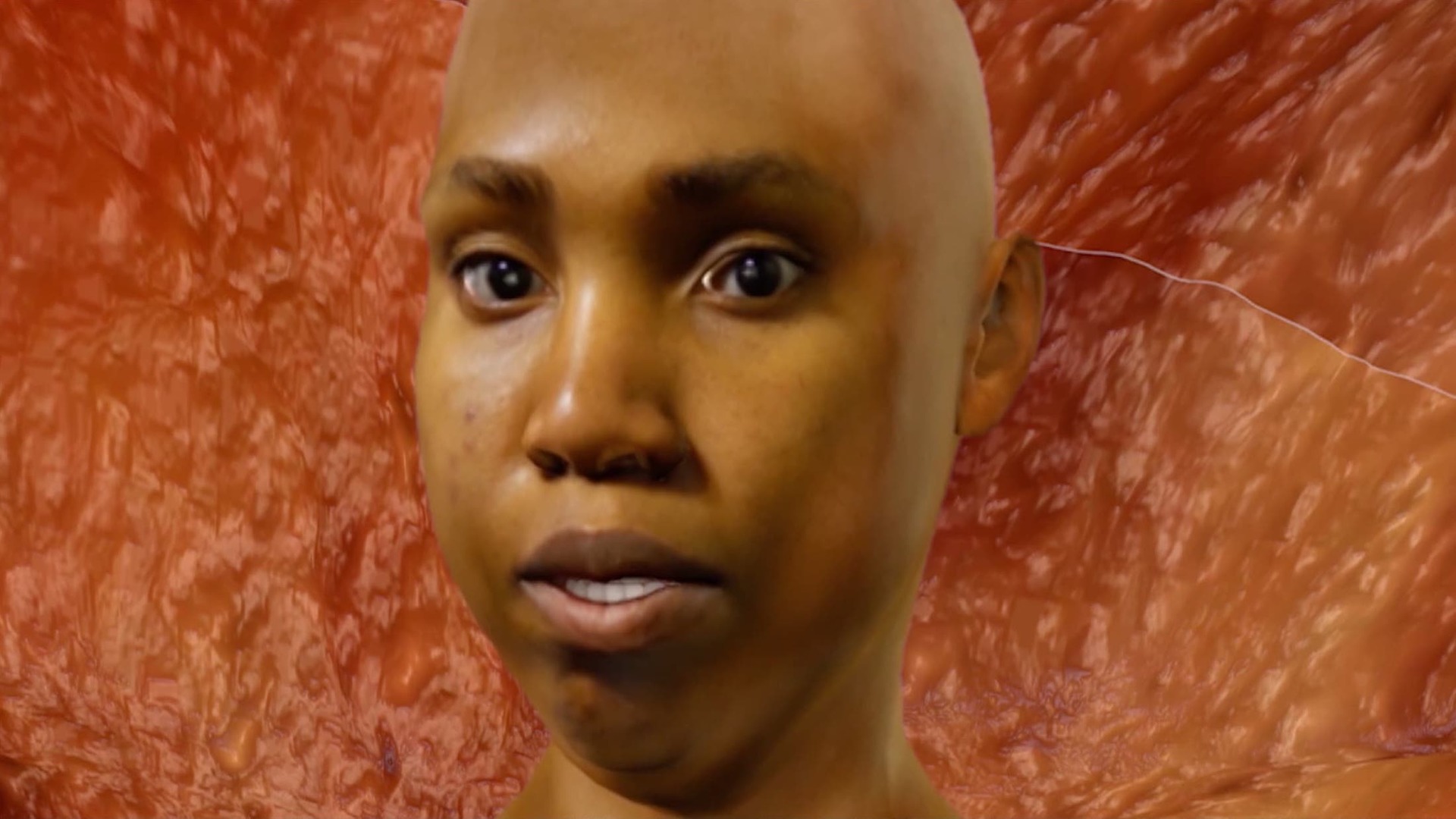 A still from 'Graft and Ash Workstation' showing a 3d face with the Skinwall piece as background