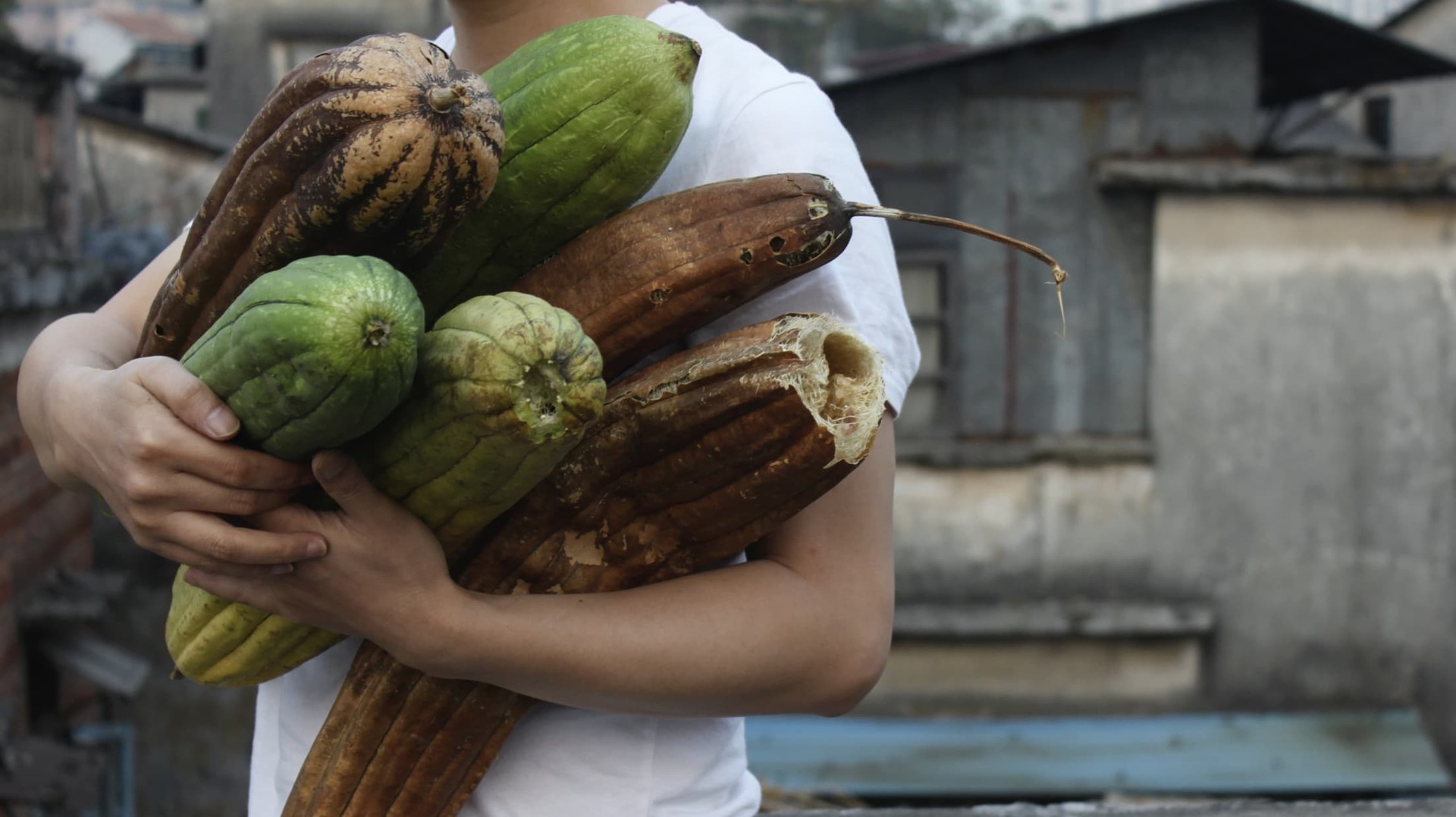 Still from 'South Stone' 2010-2011: man holding vegetables in an underdeveloped village an village surrounded by the high skyscrapers of Guangzhou