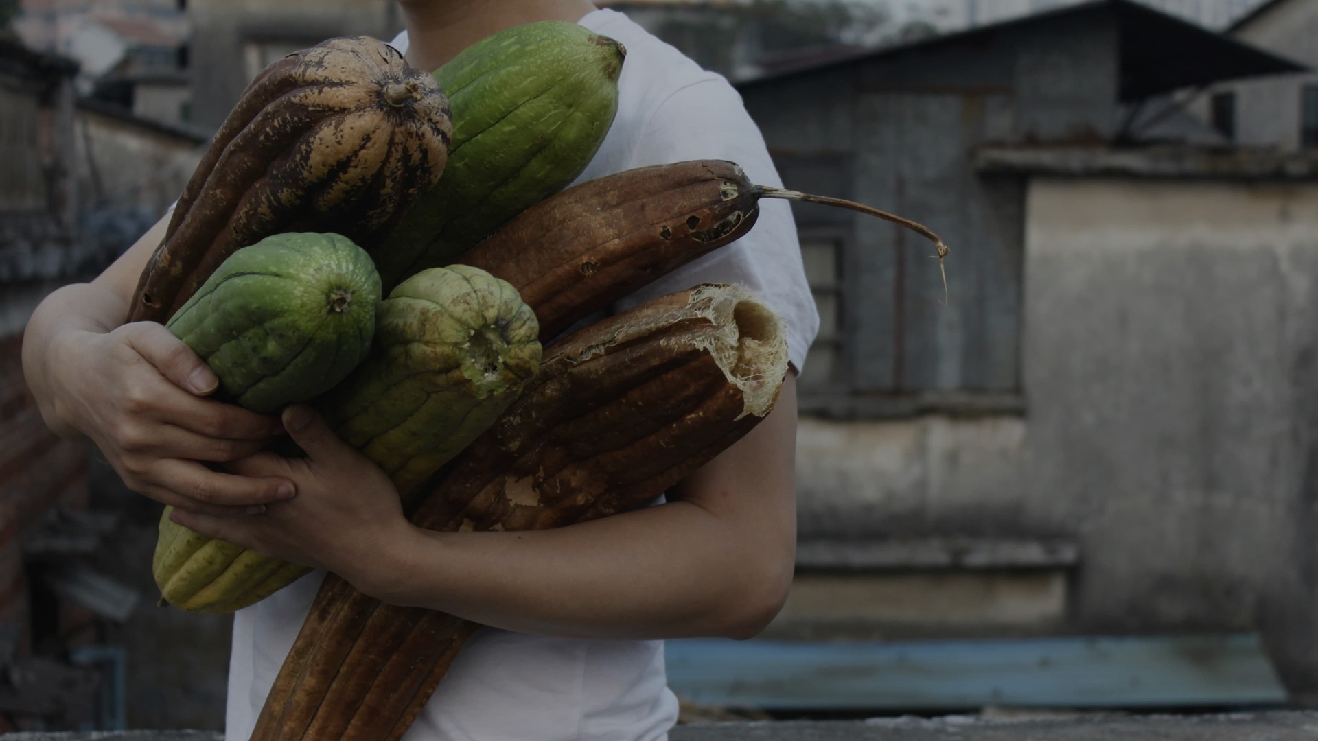 Dream Commission Artists - Zhou Tao hero - still from 'South Stone'