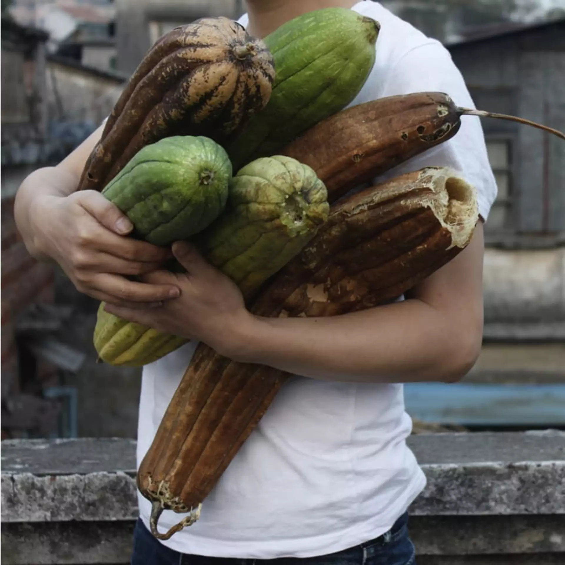 Guangzhou-based artist Zhou Tao records his environment, creating urban documentaries that blur fact with fiction.