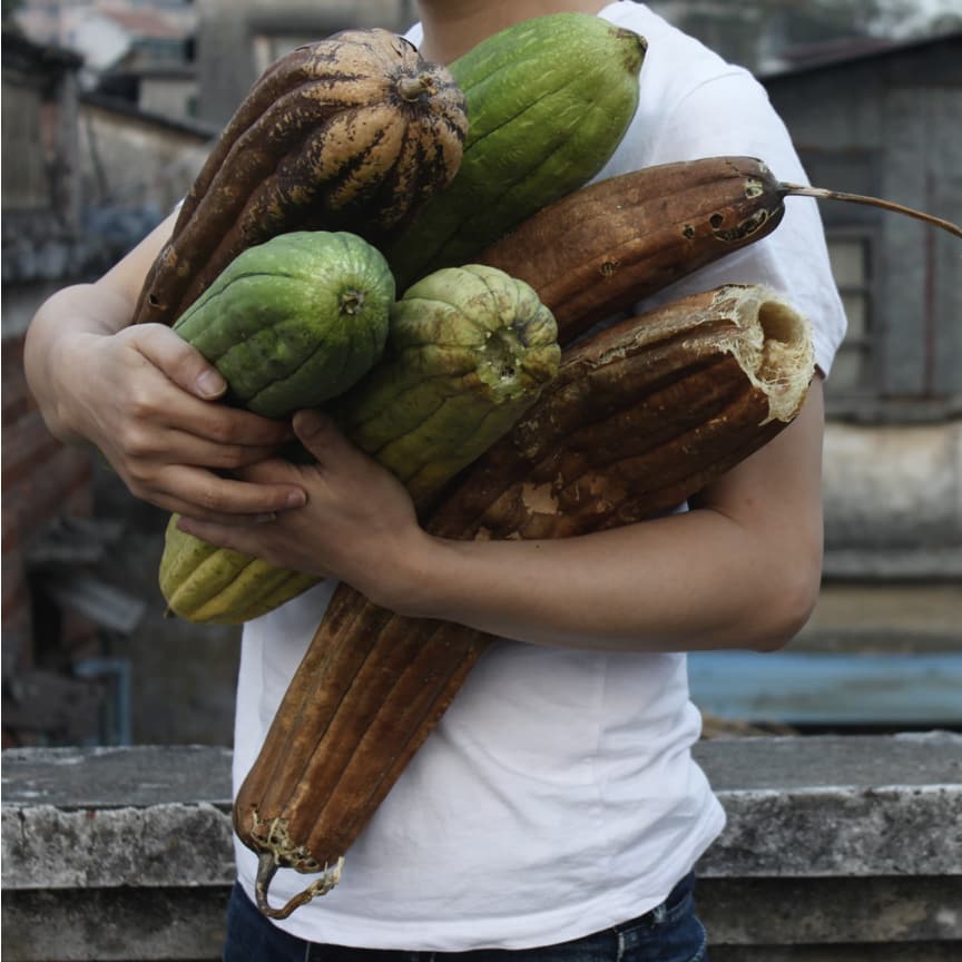 Guangzhou-based artist Zhou Tao records his environment, creating urban documentaries that blur fact with fiction.