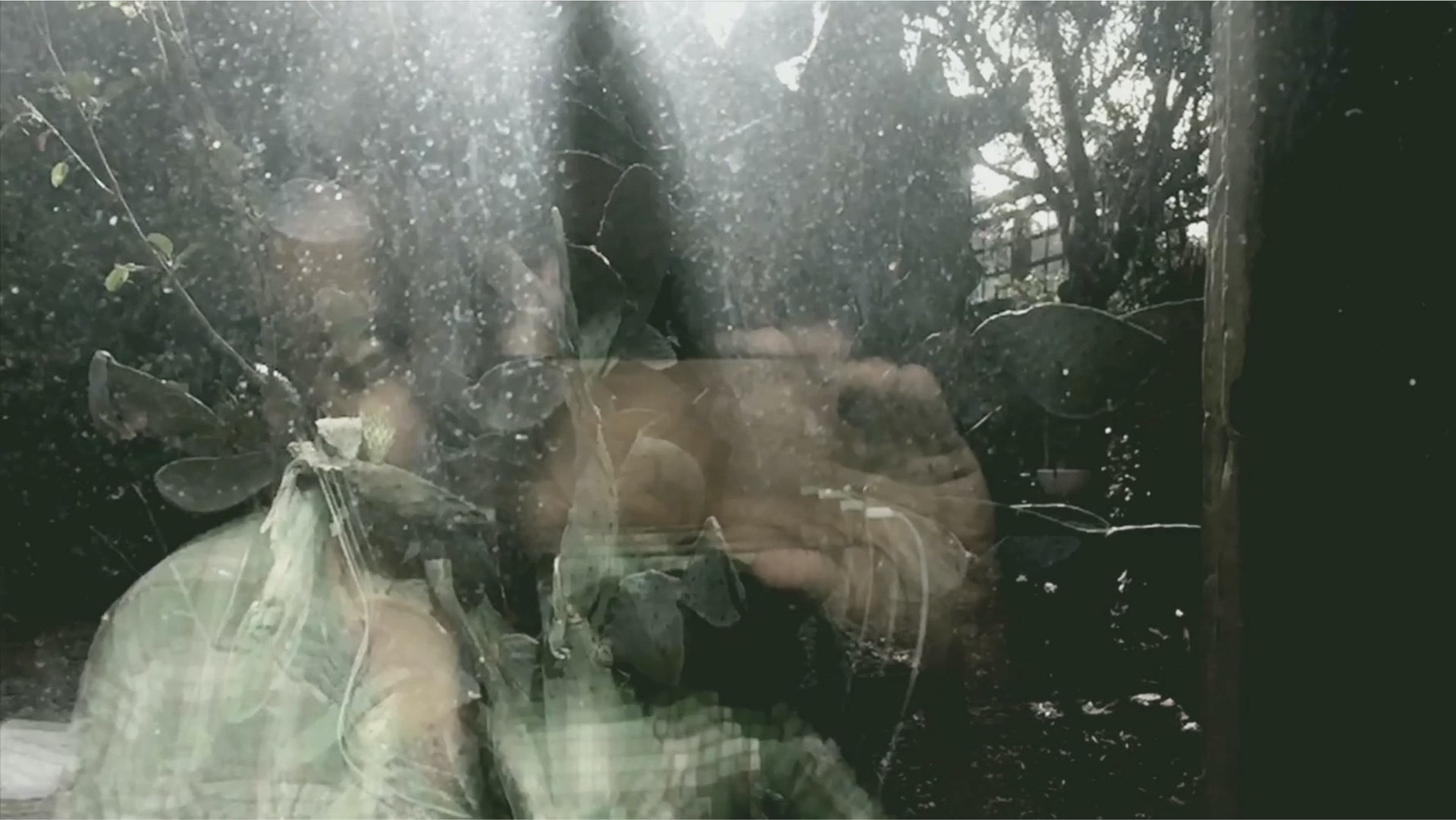 A still from Love is the Message, The Message is Death 2016, shows the reflection of a man looking into a phone through a window with distortion