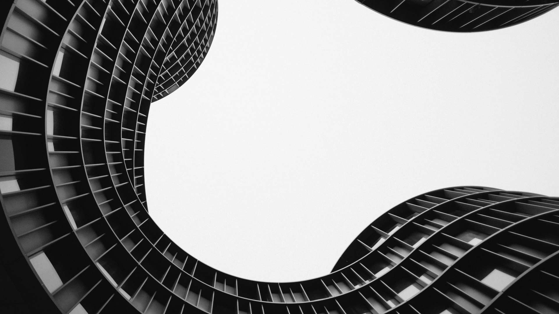 Black and white image of curved architecture