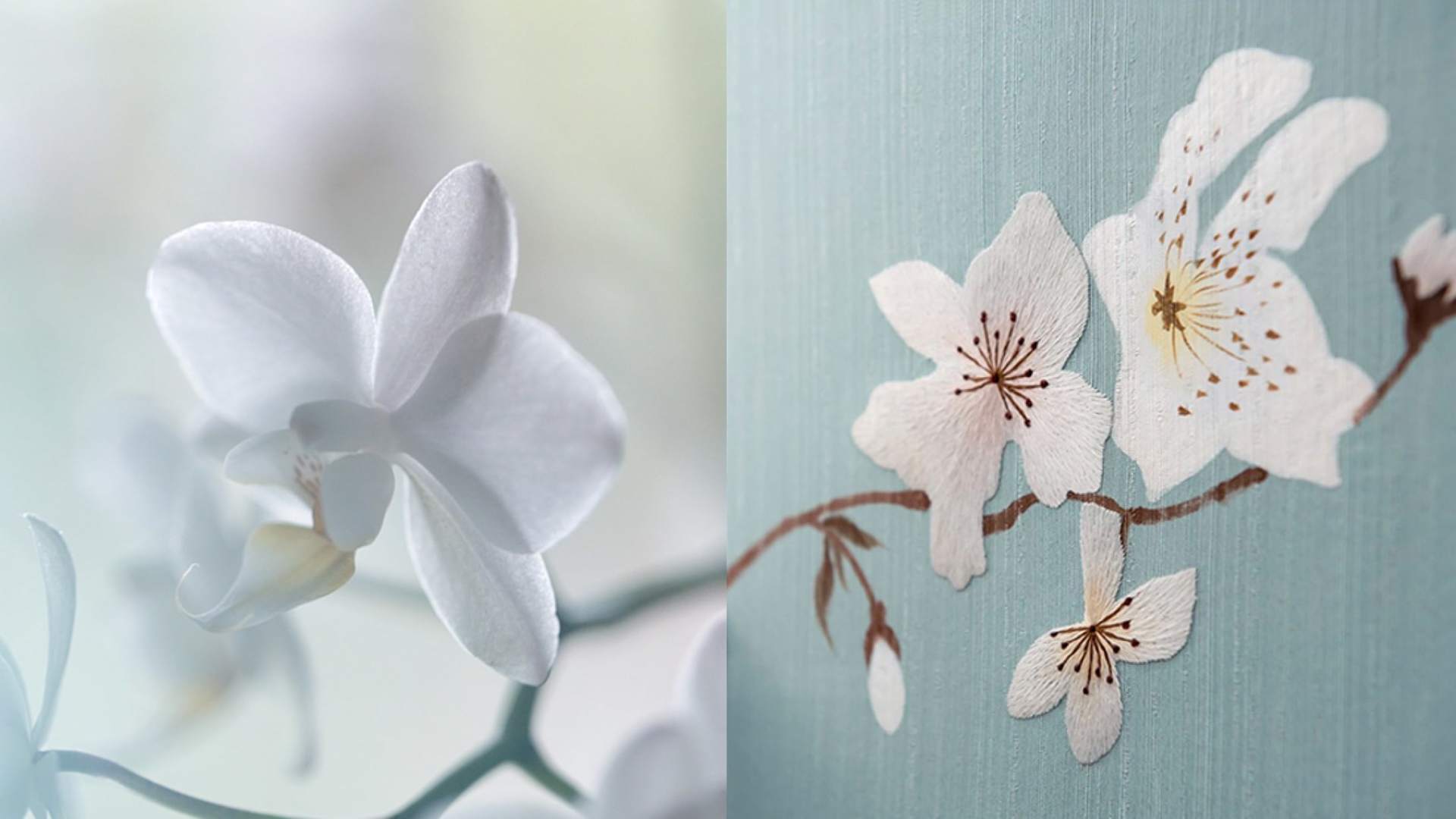 ビスポークのロールス・ロイスの刺繍を施したインテリアの傍らに一輪の花