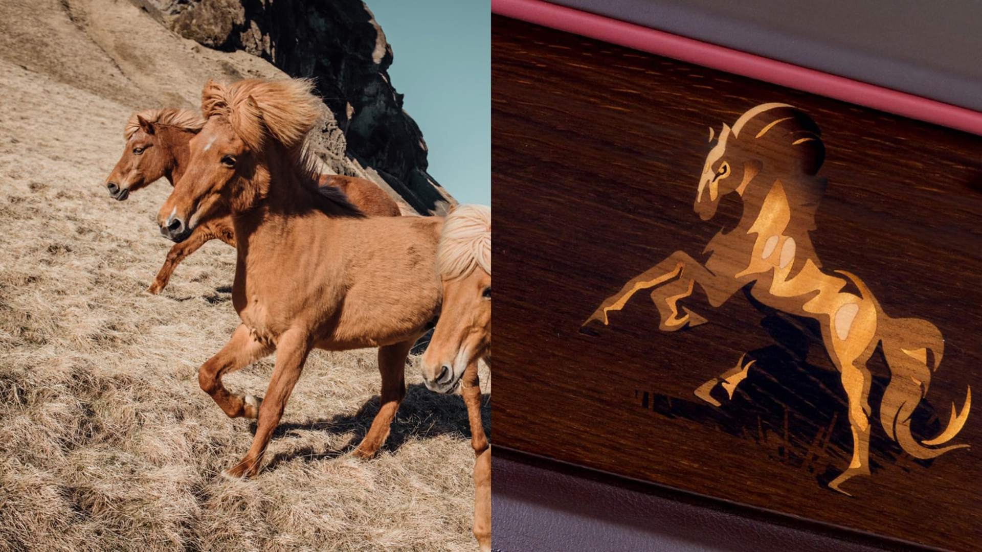 ロールス・ロイスのインテリアをクローズアップしている傍で草原を走る馬たち