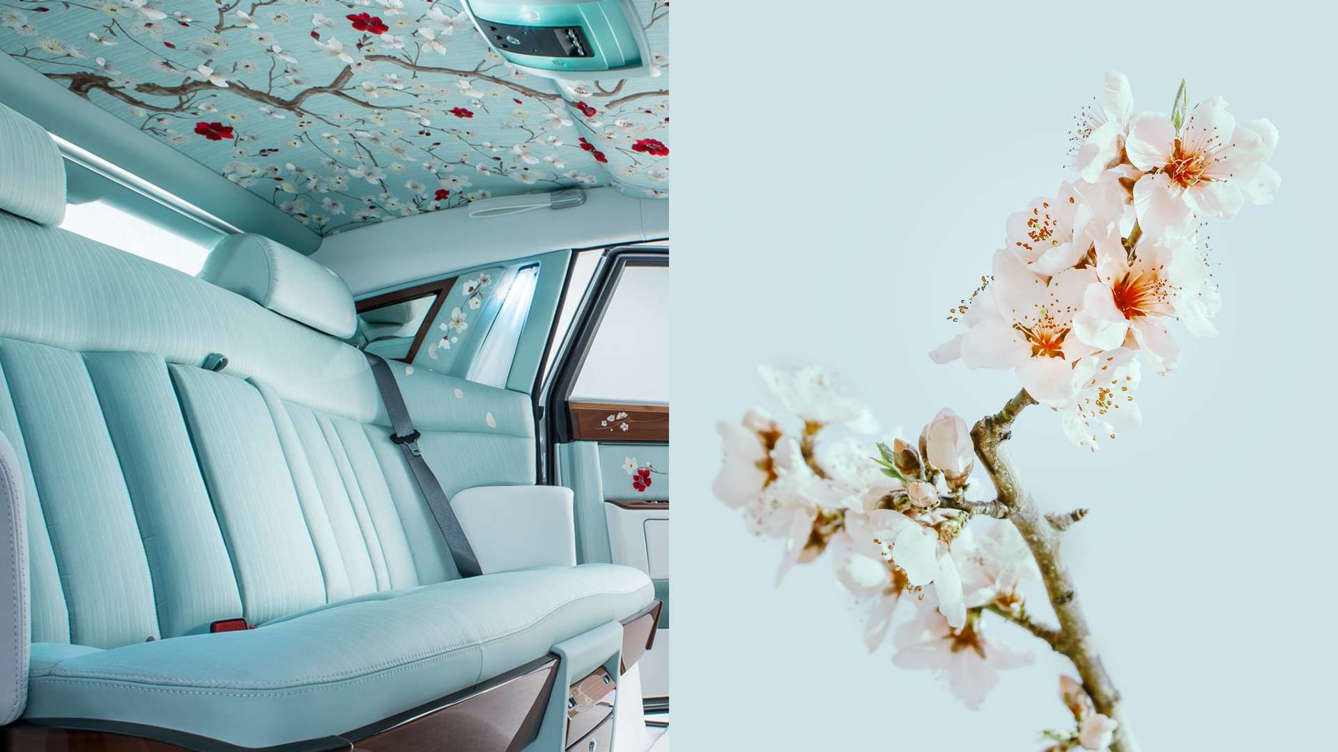 Internal back seats and ceiling view of the bespoke cherry blossom Rolls-Royce and a cherry blossom flower