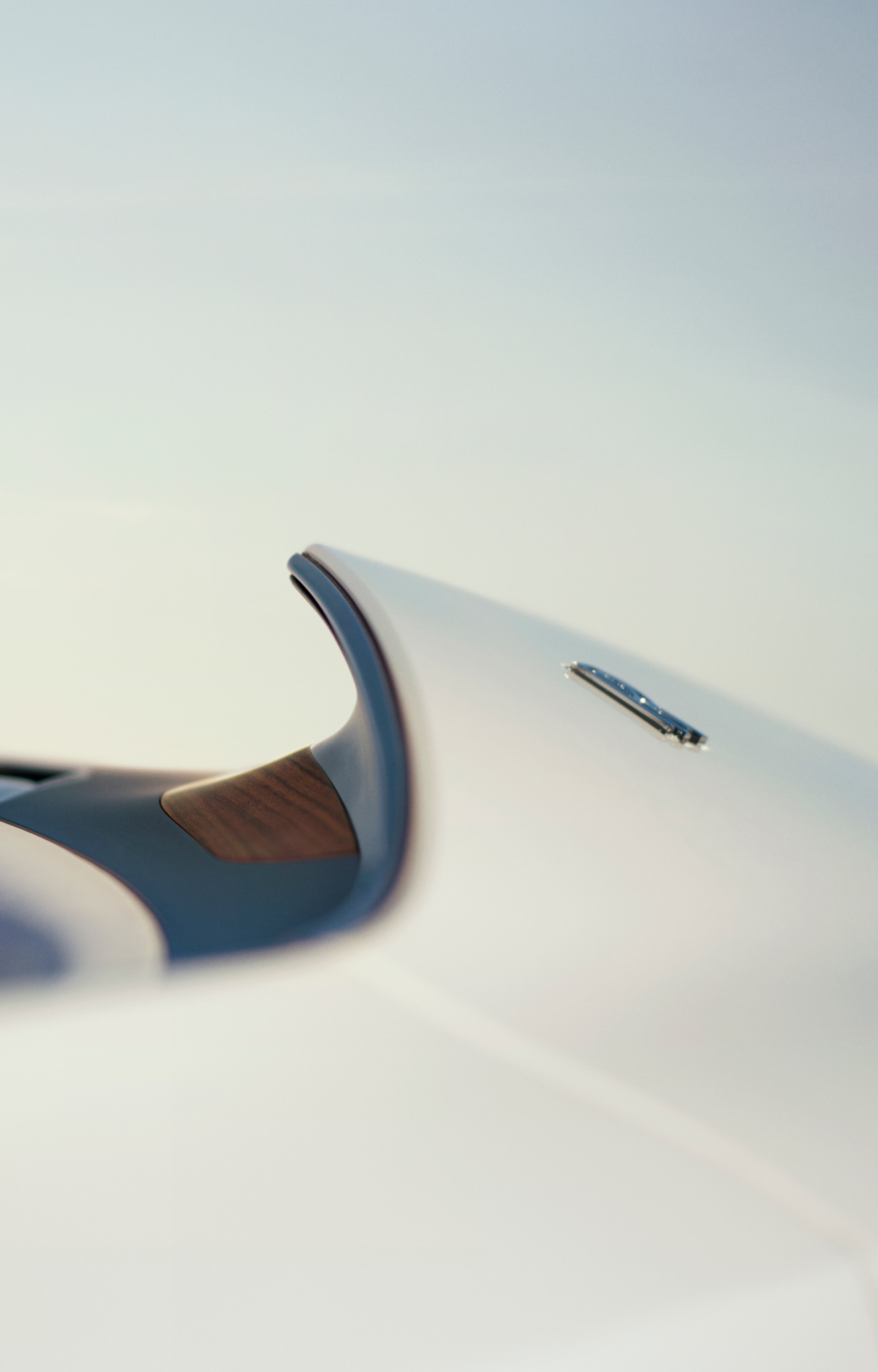 Macro image of Arcadia unique exterior shape and wooden features