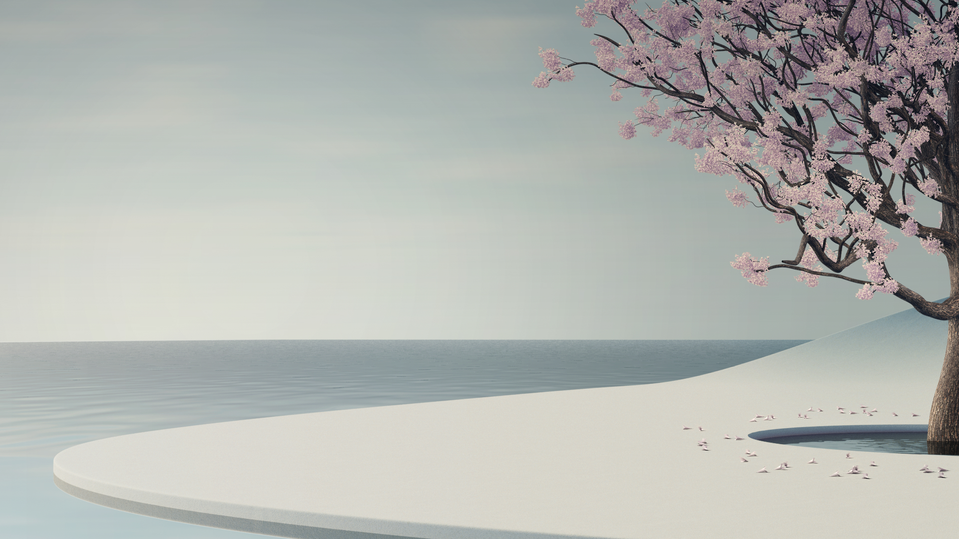 Cherry tree blossomed with the sky and water in the background