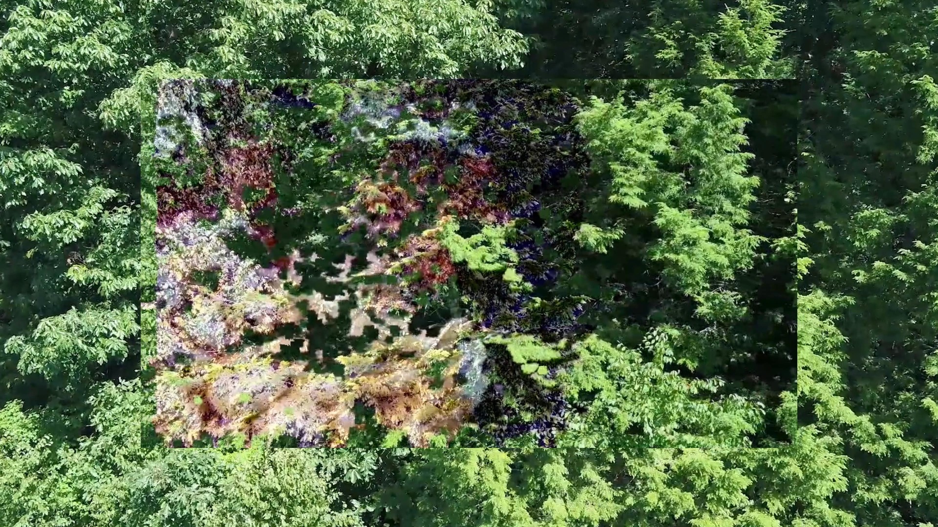 Sondra Perry, 2020, Lineage for a Phantom Zone. Original winning submission for Dream Commission 2021. Courtesy Muse, the Rolls-Royce Art Programme.