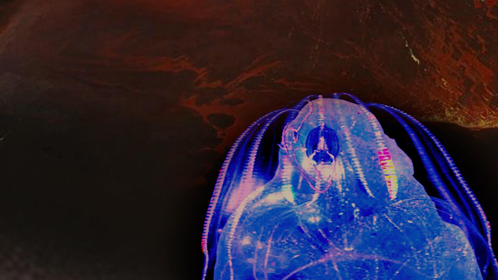 Dominique Gonzalez-Foerster, Alienarium, 2021, courtesy of the Artist.