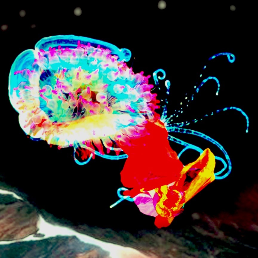 The year is shaping up to be another horizon-expanding year for moving-image art.

