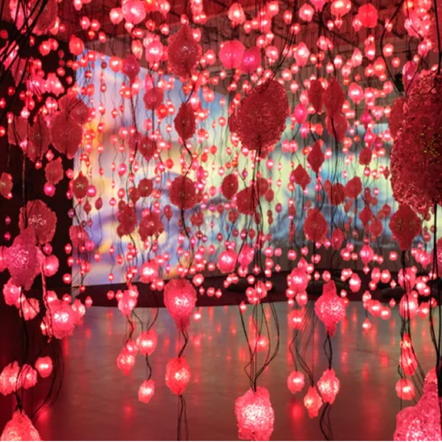 Conversations With Collectors