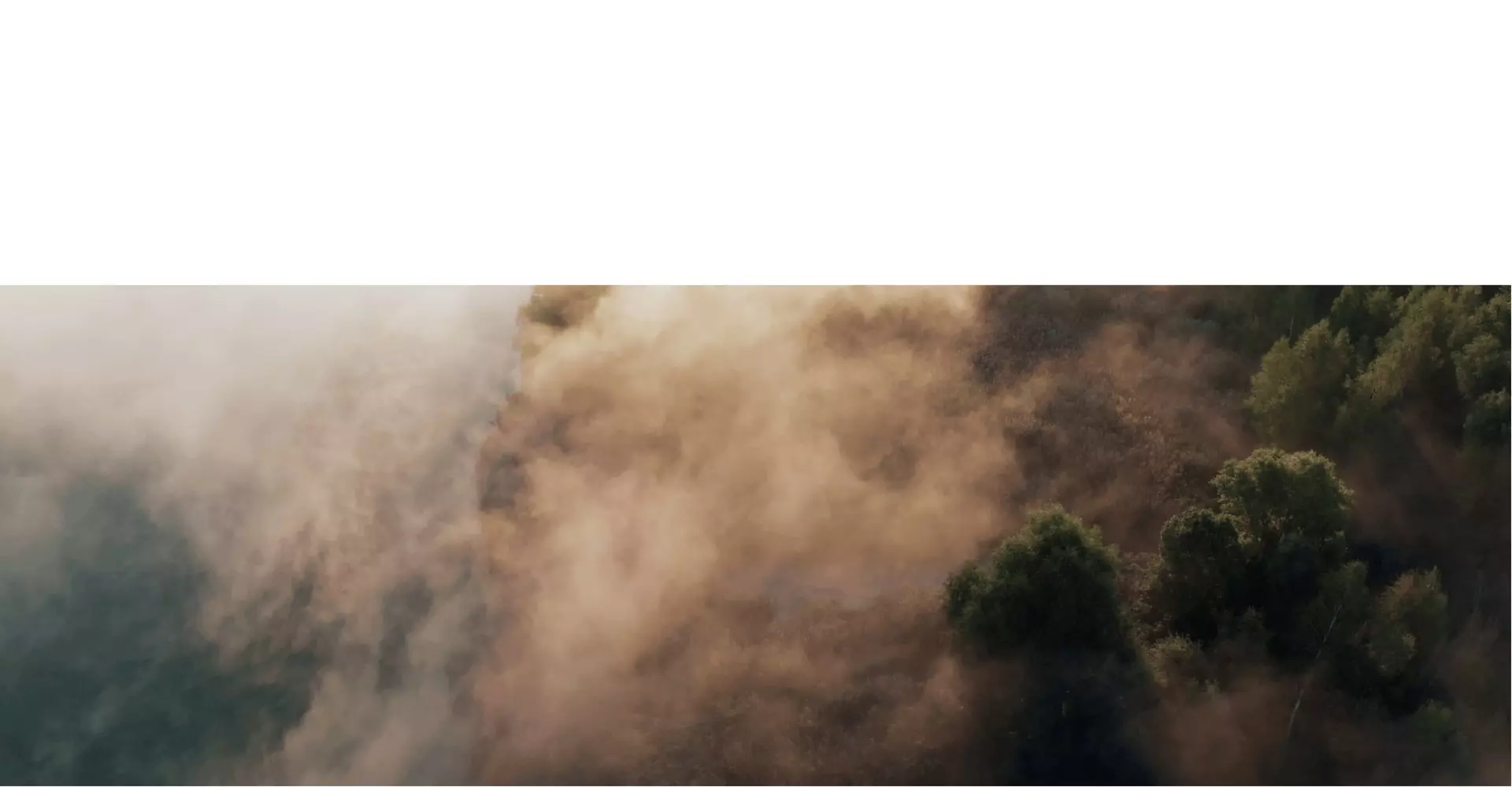Foggy landscape