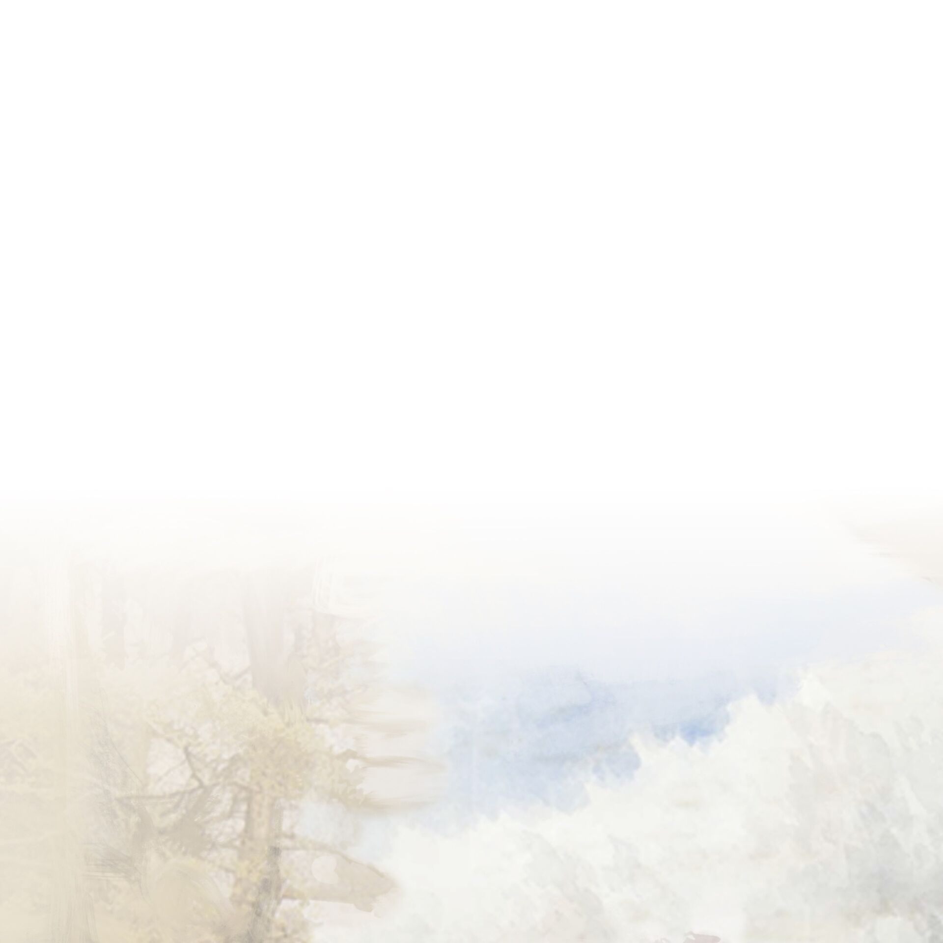 Background image of faded nature; trees and water, fading to white. 