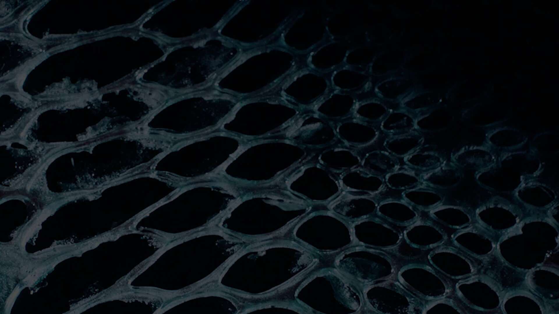 Scarlett Yang's artwork zoomed in used as background